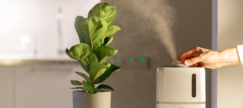 How to Clear Your Home’s Air for a Healthier Family