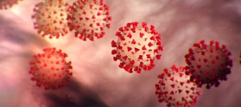 A and H’s Coronavirus Response