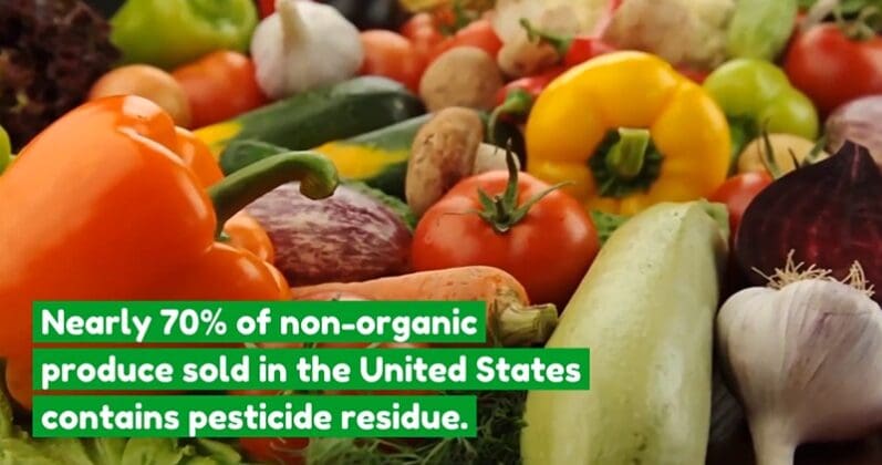 Dirty and Clean Non-organic Produce – Live Well, Work Well – July 2021