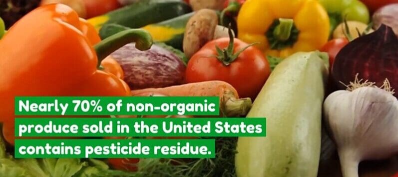 Dirty and Clean Non-organic Produce – Live Well, Work Well – July 2021