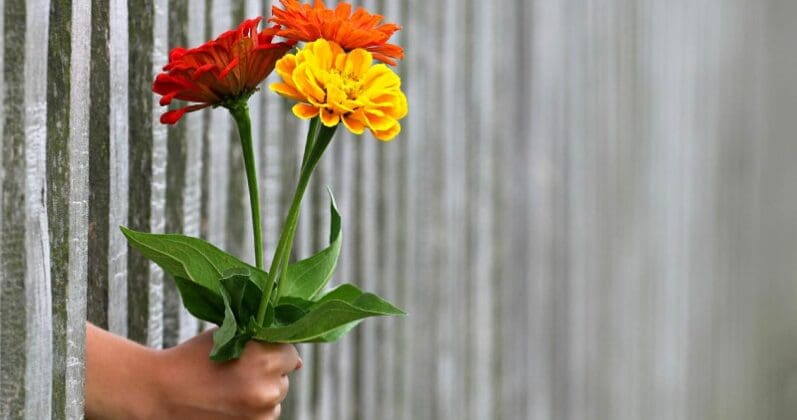 Random Act of Kindness – A and H Wellness Challenge Week #11