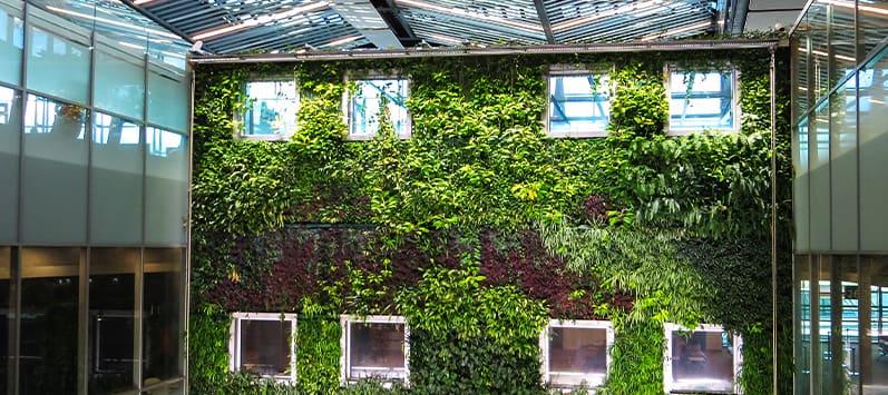 Building the Future: Starting Your Eco-Friendly Construction Empire