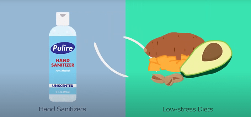 Foods that Reduce Stress / Choosing Effective Hand Sanitizers – Live Well, Work Well Sept 2020