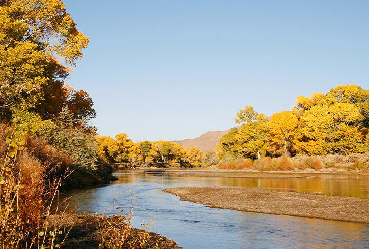 Lake near Silver Springs NV