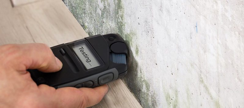 How Does Mold Affect Your Health?