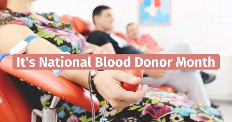 National Blood Donor Month – Live Well, Work Well January 2023