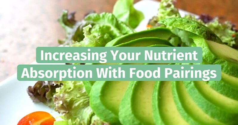 Increase Nutrient Absorption – Live Well, Work Well March 2023