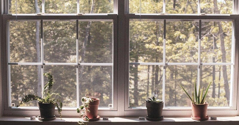 Simple Home Refresh Ideas to Promote Health and Wellness