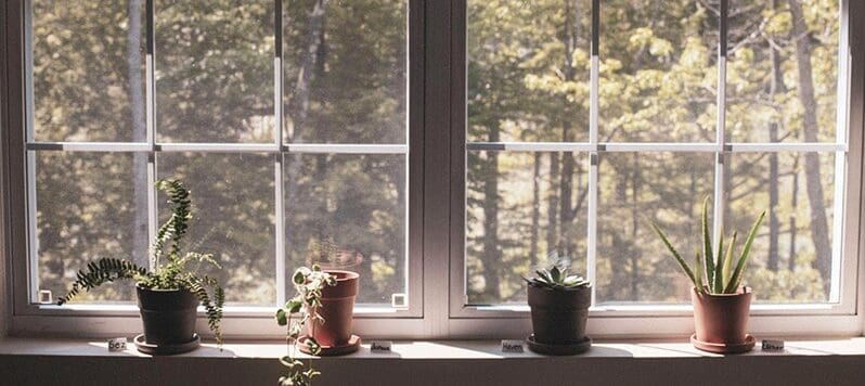 Simple Home Refresh Ideas to Promote Health and Wellness