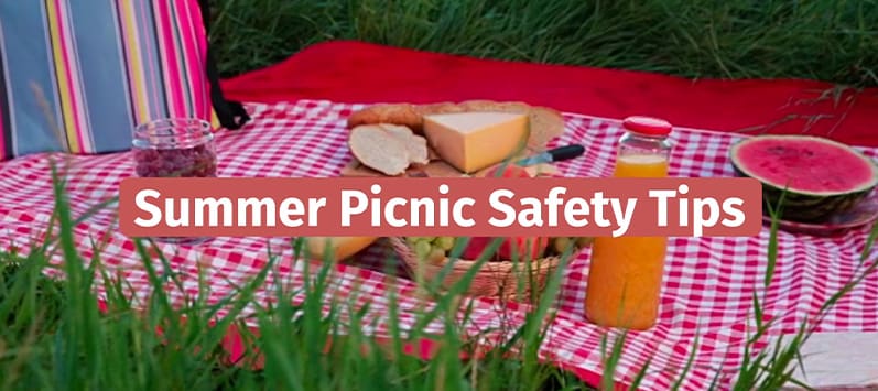 Picnic Food Safety – Live Well, Work Well July 2023