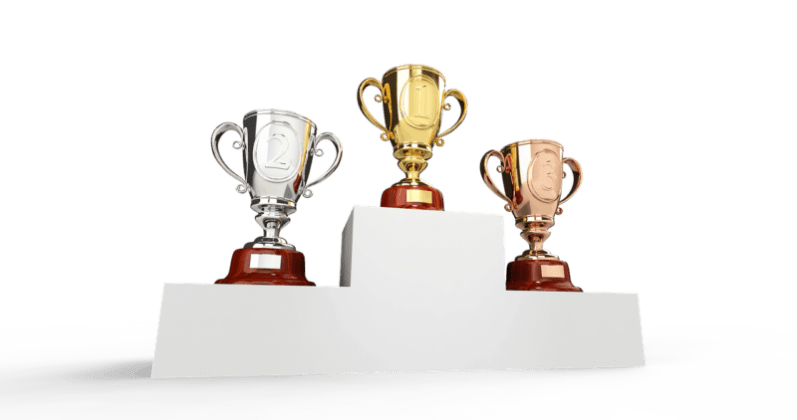 The Risk of Rewards: Praise, Motivation and Performance